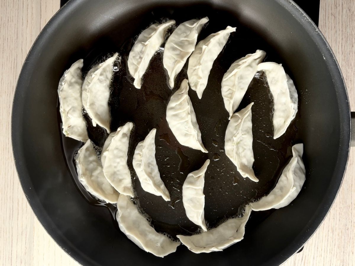 A black frying pan containing about 16 uncooked gyoza dumplings in a small amount of bubbling oil.