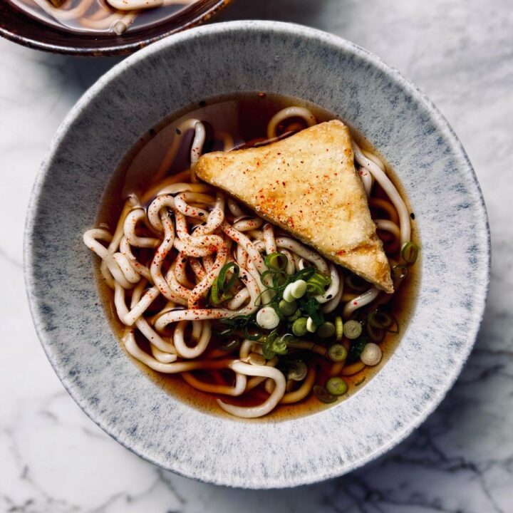 a bowl of kake udon (thick udon noodles in a translucent soy based broth)