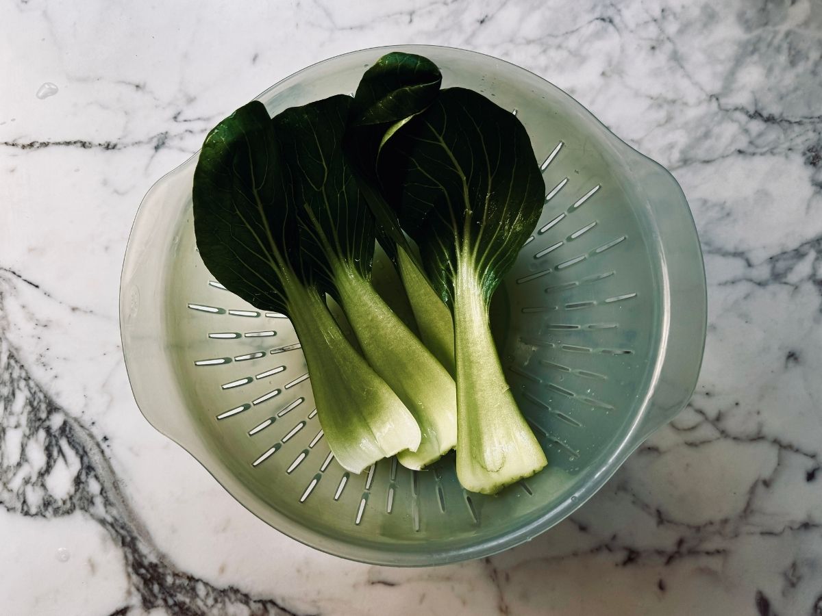 Washing bok choy for vegan bok choy recipes.