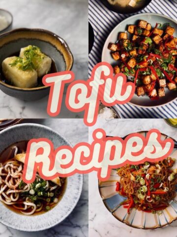 vegan tofu recipes poster - a collage of 4 photos of finished tofu dishes. 1. agedashi, 2. sticky tofu, 3. kake udon, 4. tofu noodles - one image in each corner with graphic text overlayed which says "tofu recipes"